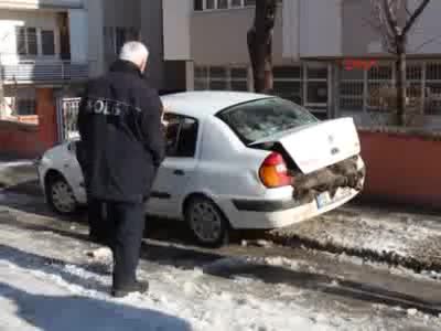 Otomobil bagajında ölü domuzlar