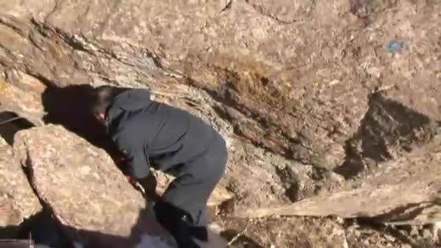 Türküler eşliğinde doğaya yem bırakıldı