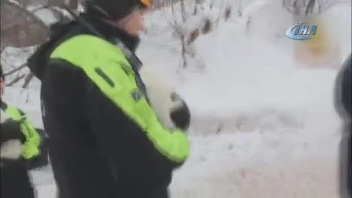 Çığ felaketinden 5 gün sonra 3 köpek yavrusu kurtarıldı