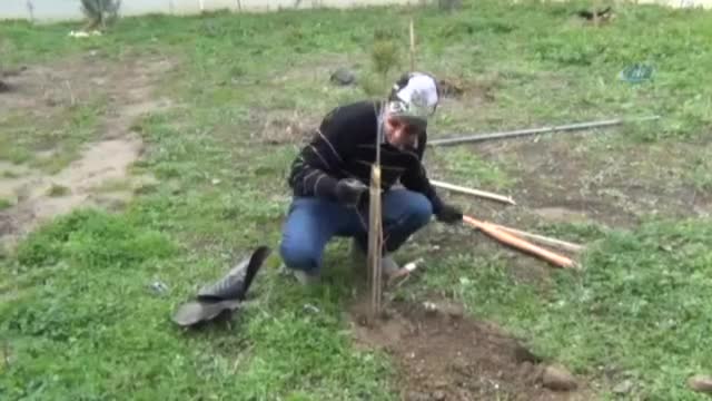 Oğullarının adını yaşatmak için 300 fidan diktiler