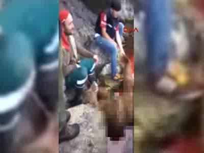 Ayıyı vurup parçalayan 6 kişiyi çektikleri video ele verdi