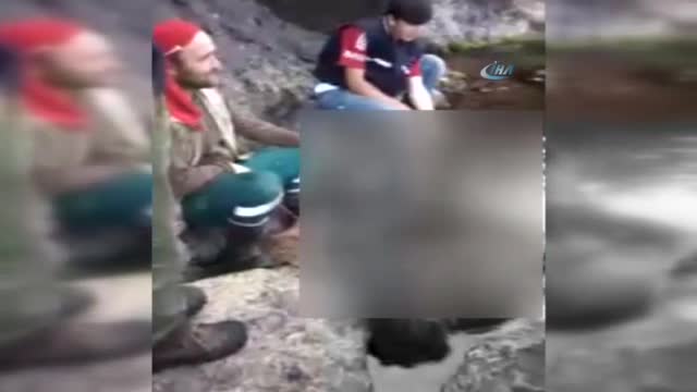 Bu görüntüler hayvanseverleri çok kızdıracak