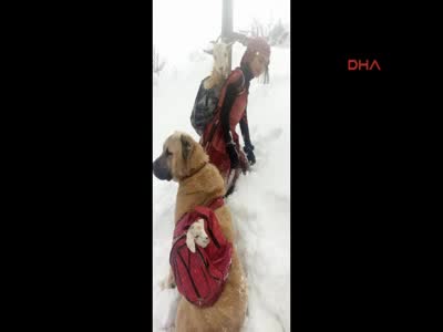 Sosyal medyayı sallayan fotoğrafın sırrı ortaya çıktı