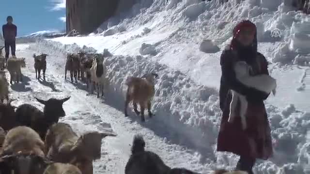 Rizeli 'Heidi' sosyal medyadaki "o" fotoğrafı anlattı