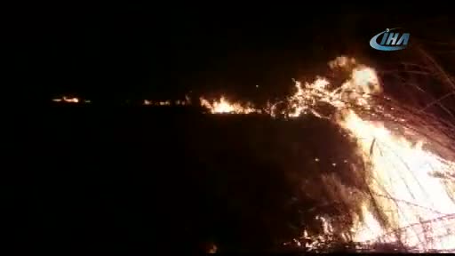 Bursa'da sazlık yangını