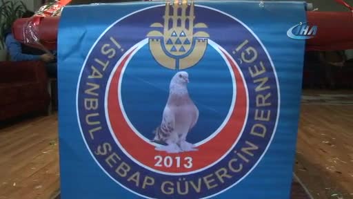 Lüks araç fiyatına güvercin