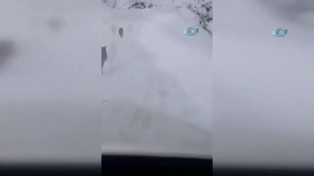 Elazığ'da 'kırmızı liste'deki vaşaklar görüntülendi