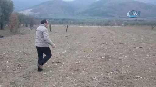 Bursa'da bu tarlalara köstebek değil hırsız dadandı