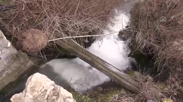 Bursa'da şehir stresinden bıkınca tarihi değirmeni satın aldı