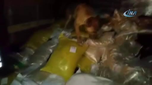 Kuş yemlerinin arasından 244 kilo uyuşturucu çıktı