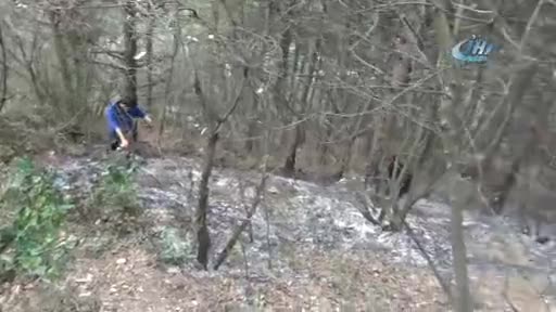 Bursa'da orman yangını