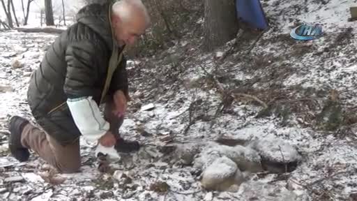 Bursa'da yavru köpekler birbirlerine sarılarak dondu