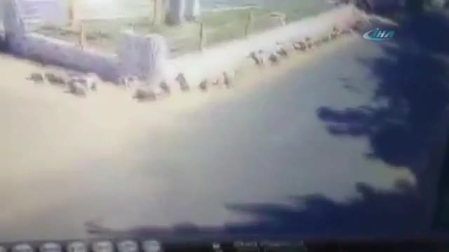 Hindistan'da ölümlü kaza kamerada