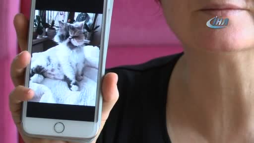 Bursa'da 12 yıllık kedisini bulana 2 bin lira ödül verecek