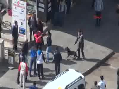 Diyarbakır'da satırlı, sopalı, pitbullu kavga!