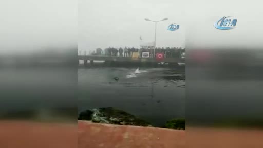 Belediye Başkanı dalgıcı boğulmaktan kurtardı