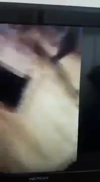 Sinan Oğan konuşurken saldırıya uğradı