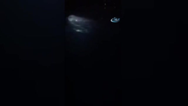 Dev balina balıkçı teknesine çarptı