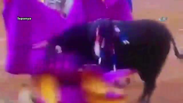 Kurban bu kez matador oldu