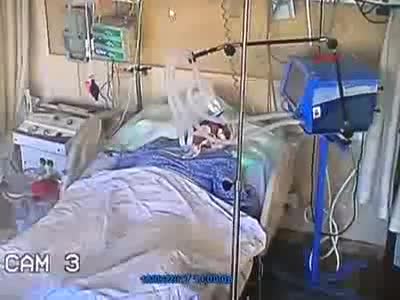 35 yıllık eşini satırla komalık etti