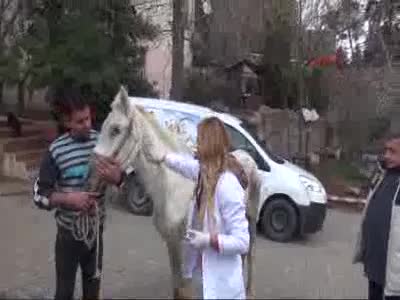 Kuyruğunu kesip, kör ettikleri atı sokağa attılar