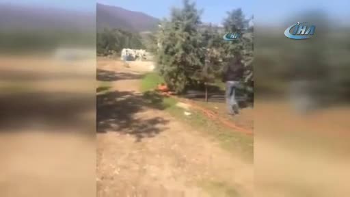 Bursa'da köpeğe silahlı saldırı kamerada