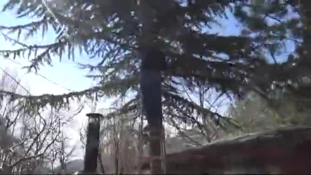 Tokat'ta ağaçta mahsur kalan kediyi kurtardı