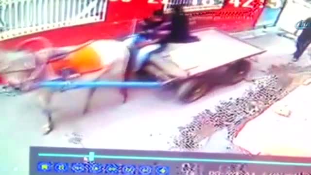 Ölen arkadaşlarının evini at arabasıyla soydular