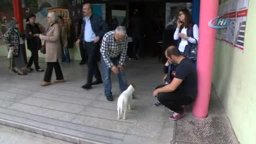 Bursa'da oy kullanmaya köpeğiyle geldi