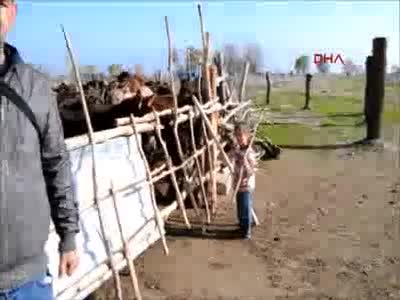 Litresi 120 lira ama talep yağıyor