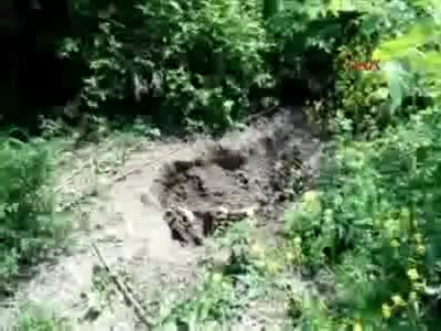 Ormanda kemik ve kafatası parçaları bulundu