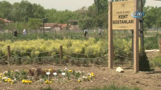 Sağlıklı gelecek için tohumlar Bursa Nilüfer'de el değiştirdi