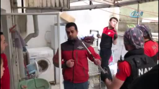 Bursa'da Çakal kurtarma operasyonu