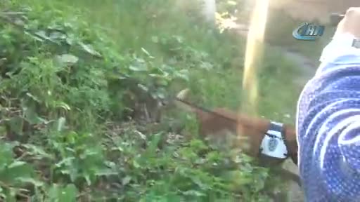 Bursa'da köprünün altındaki uyuşturucuyu Alfa böyle buldu