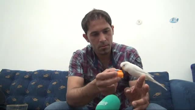 Bu kuş hem muhabbet hem dua ediyor