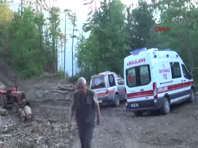 Devrilen ağacın altında kalan orman işçisi öldü