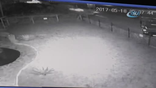 Otomobil kamyona çarptı: 1'i ağır 5 yaralı