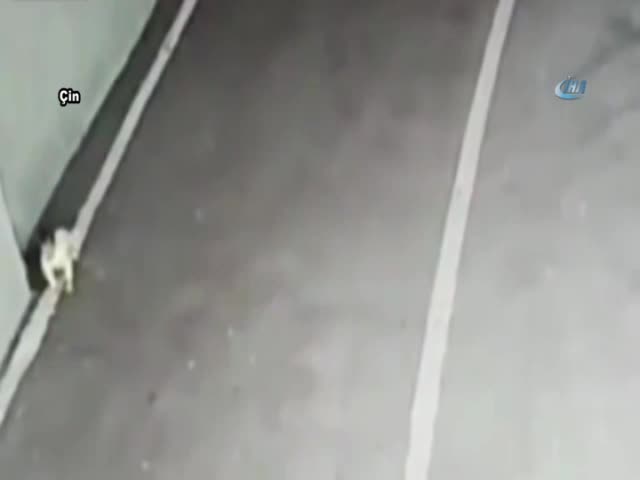 Çocuğunu yol kenarına bırakıp kaçtı