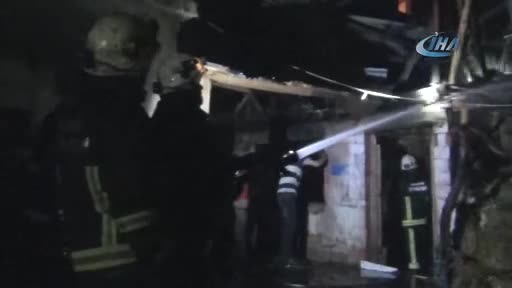 Bursa'da yangından kaçan tavuklar ağaca çıktı