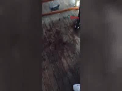 Denizde dehşet gecesi! Tur teknesini kaçırmaya kalkıştılar