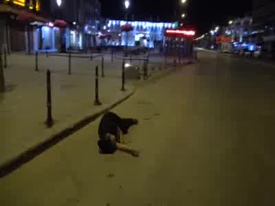 Yol ortasında bulunan kadın hamile çıktı