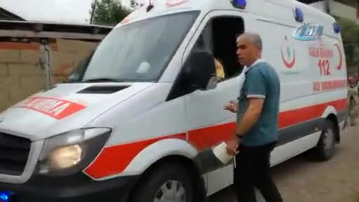 Bursa'da köpek yaşlı kadını kafasından ısırdı