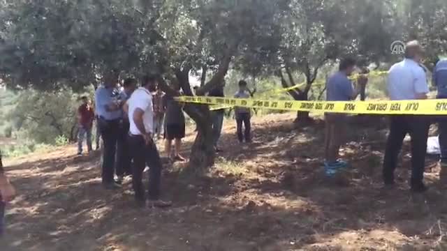 Bursa'da zeytinlikte şüpheli ölüm! İzne gelen asker...