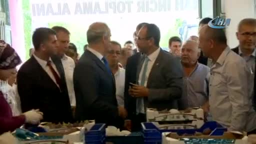 Bursa'nın siyah inciri dünyaya açılacak
