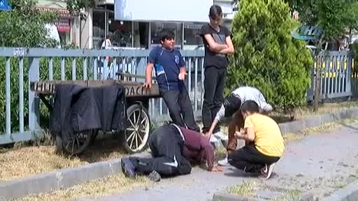 İstanbul'un dört bir yanında bonzai krizleri kamerada