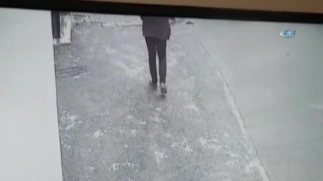 İstanbul'da köpek hırsızları kamerada