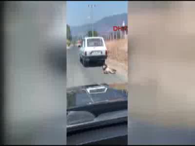 Böyle vicdansızlık görülmedi!