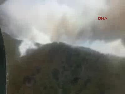 Alanya'da orman yangını