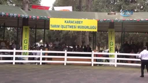 Bursa'da lüks daire fiyatına taylar kapışıldı