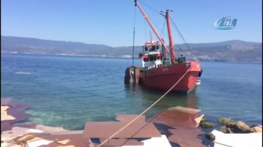 Bursa'da denize dökülen suntaların sebebi belli oldu